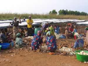 veuves de Kwakwa au Bas-Congo/Infobascongo