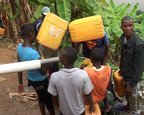 Bas-Congo : la déforestation tue les sources d’eau