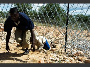 un clandestin zimbabween passe la frontière/Photo internet