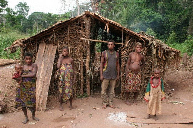 Katanga:chasse aux pygmées