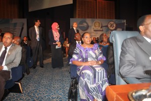 La ministre Ngudianza Bayokisa Kisula au Sommet des Chefs d 'Etat et de gouvernement en Egypte/Photo Nekwa