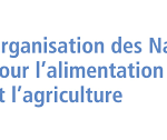 InfoCongo Stories, Maps and Data Visualization Grant