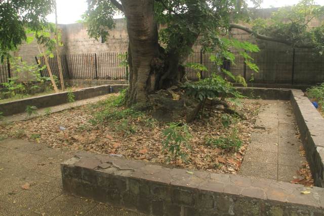 La tombe de Selembawu, le site qui donne le la du tourisme urbain, à Kinshasa