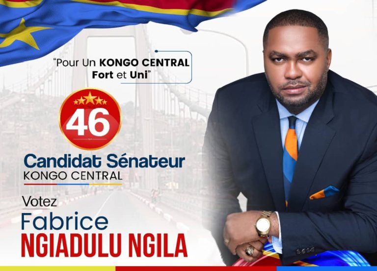Le développement industriel et la productivité, deuxième pilier de la vision de Fabrice Ngiadulu, candidat sénateur au Kongo central